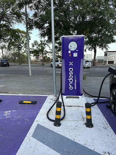Negocio Punto De Carga Endesa X Way