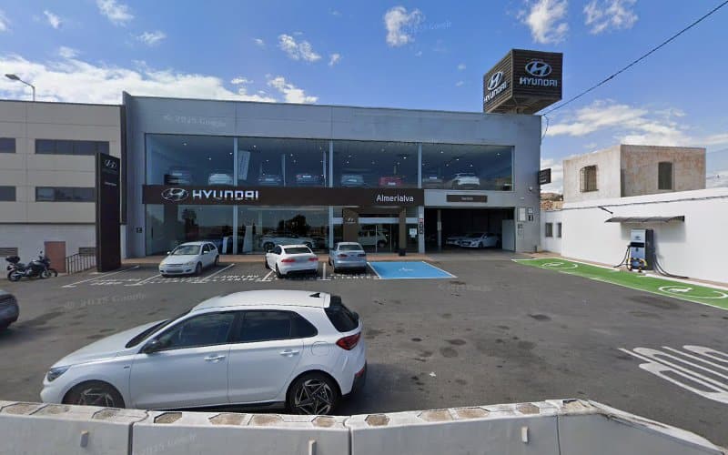 Negocio Punto De Carga Hyundai