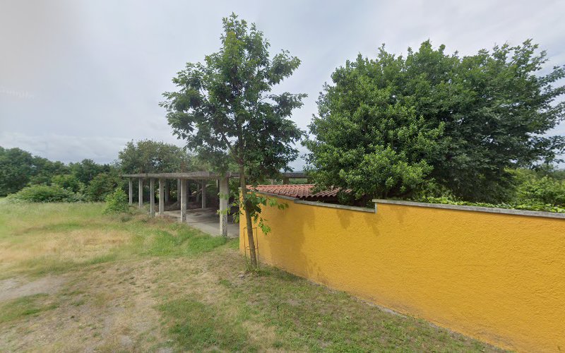 Negocio Punto De Carga Iberdrola