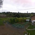 Punto De Carga Iberdrola | Bp Pulse en Ribera de Arriba | Punto de carga eléctrico