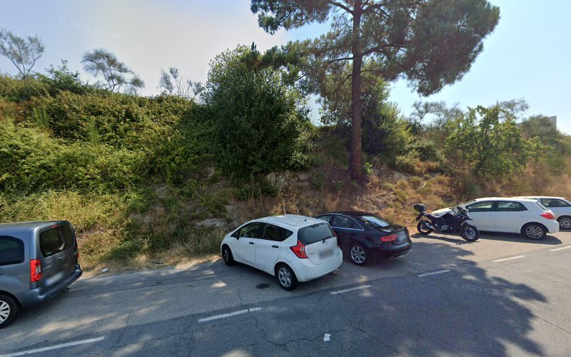 Negocio Punto De Carga Pitpoint