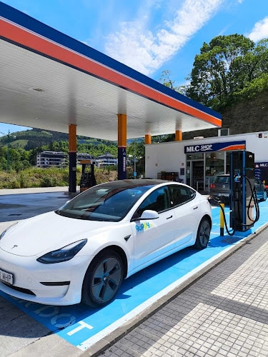 Negocio Punto De Carga Powerdot