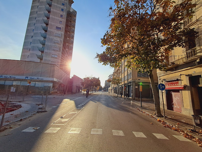 Negocio Punto De Carga Telpark