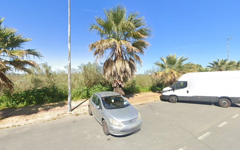 Negocio Punto De Carga Totalenergies