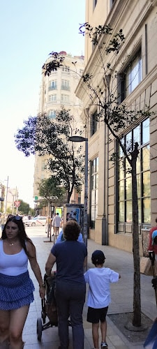 Punto De Carga Totalenergies