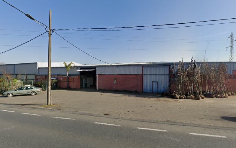 Negocio Punto De Carga Totalenergies