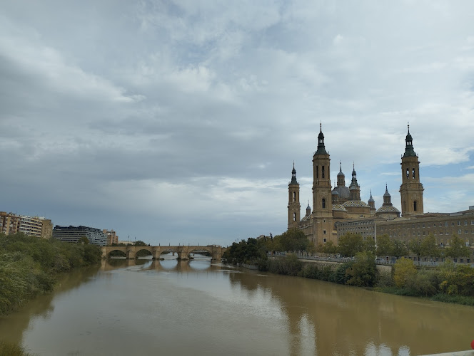 Negocio Punto De Carga Wenea
