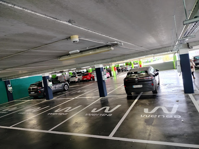 Negocio Punto De Carga Wenea