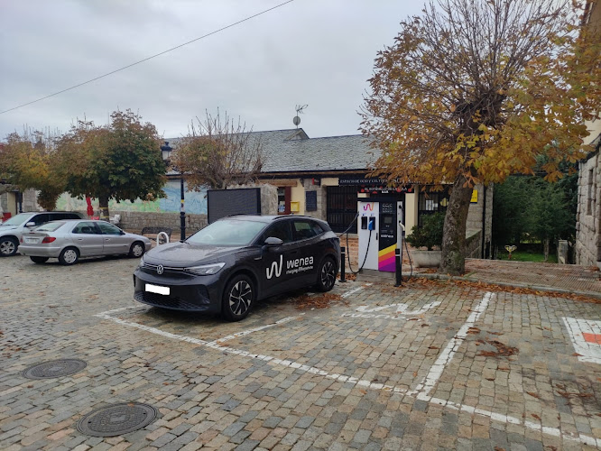 Negocio Punto De Carga Wenea
