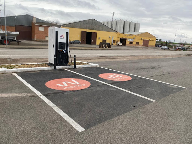 Negocio Punto De Carga Wenea