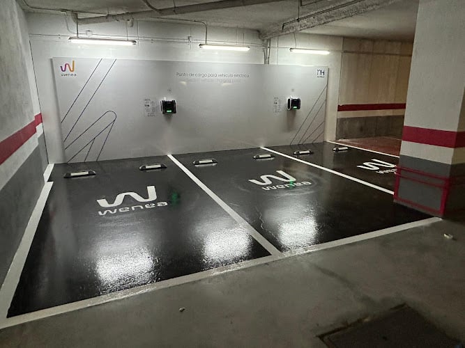 Negocio Punto De Carga Wenea