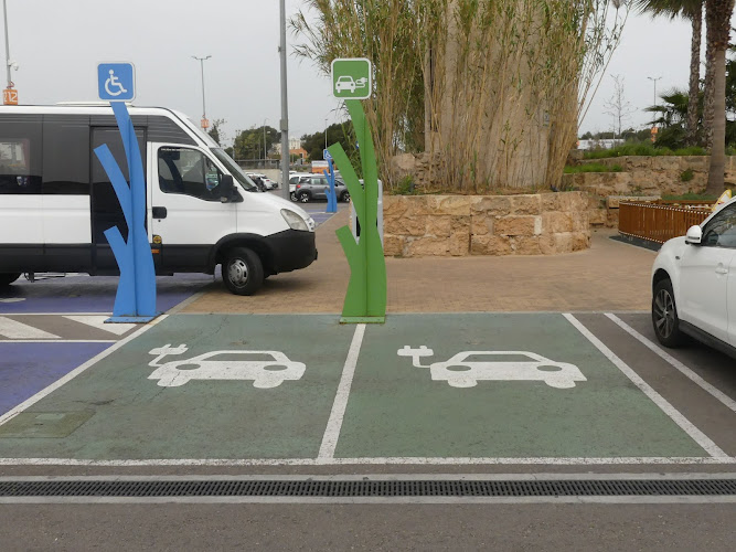 Negocio Punto Recarga Coche Eléctrico